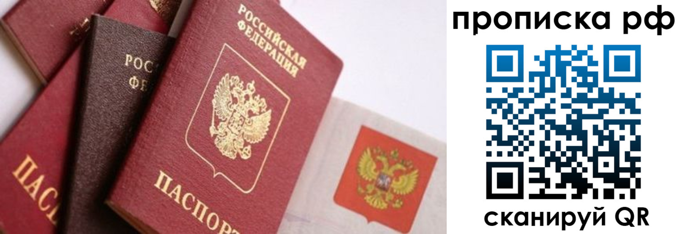 прописка ребенка в Петропавловске-Камчатском