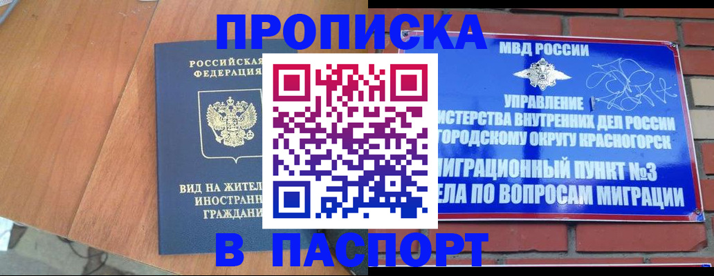 найти адрес прописки в Петропавловске-Камчатском